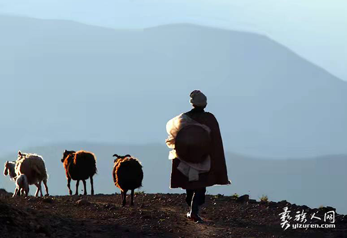 1657160702617474.png image.png