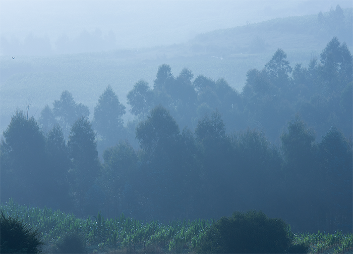 1660183282314143.png image.png