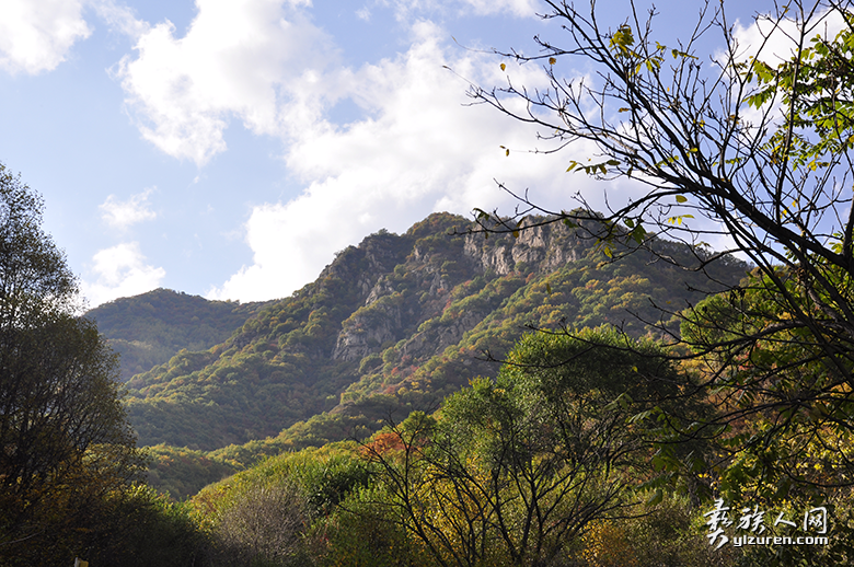 1661131503979337.png image.png