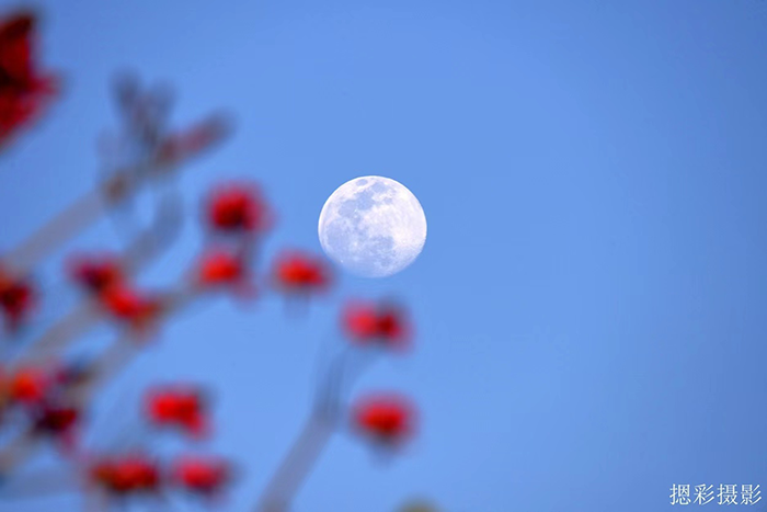 1662806115237558.png image.png