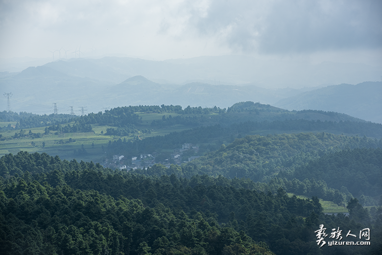 1665233443925142.png image.png