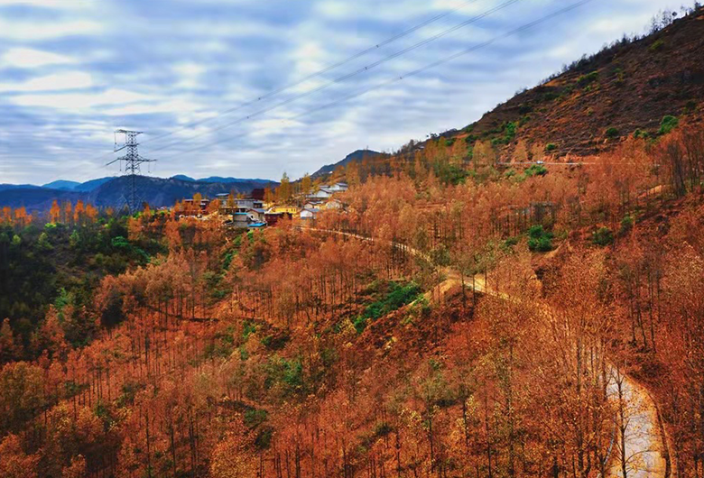 1666493107589621.png image.png