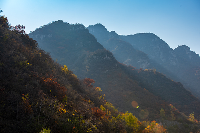 1666974744447489.png image.png