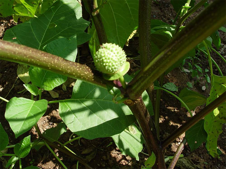 1670045647624830.png image.png