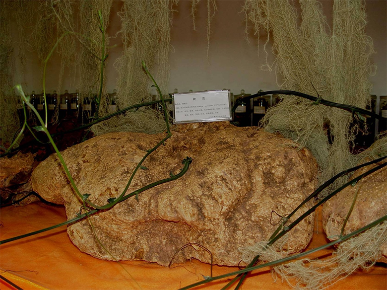 1670045900567245.png image.png