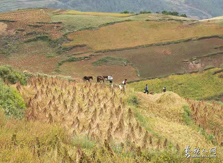 1670932652103325.png image.png