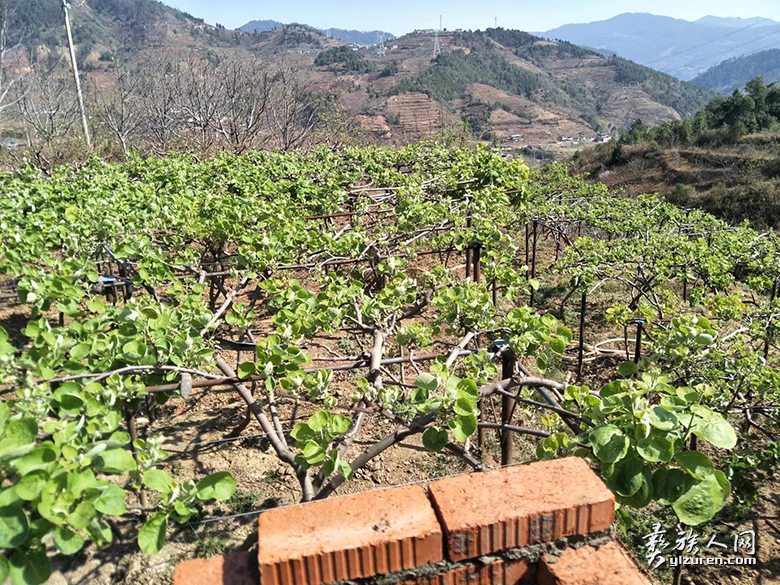 1678538244523789.png image.png