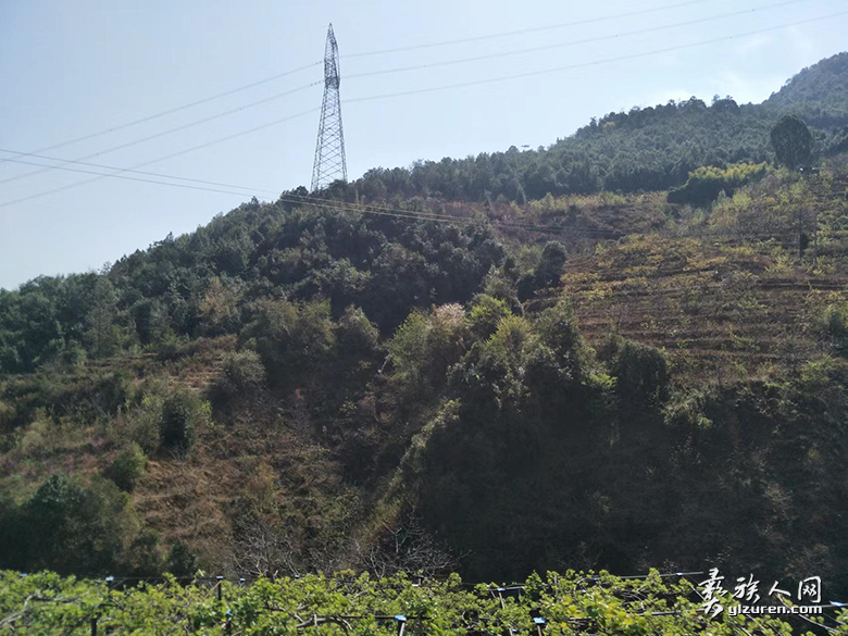 1678538261319338.png image.png