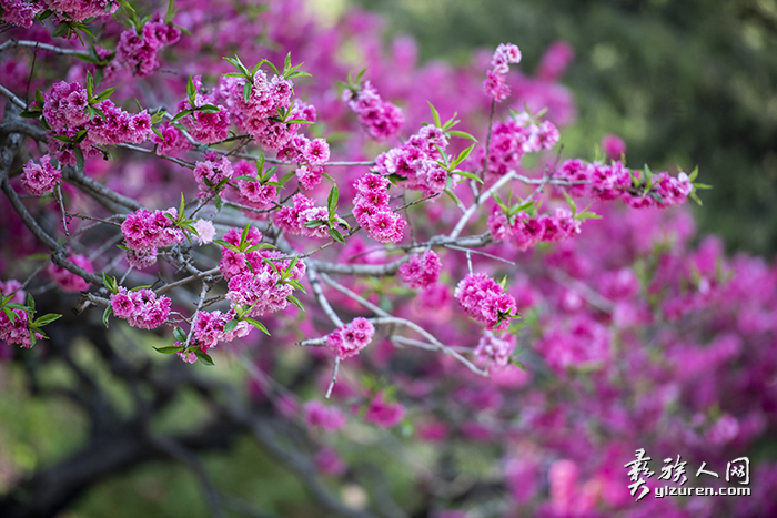 1678708308407650.png image.png