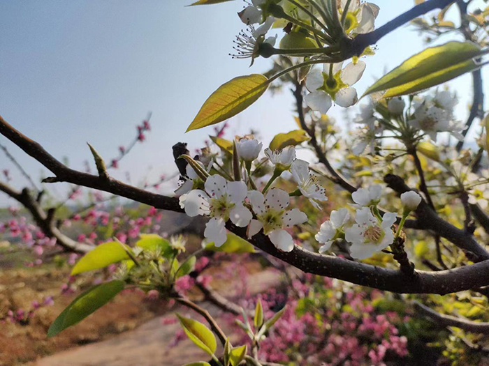 1679481749629199.png image.png