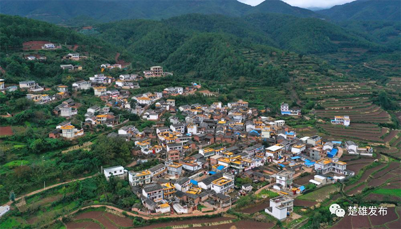 1679908171471983.png image.png