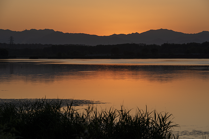 1680439161315976.png image.png