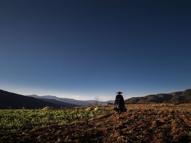 1680771621654018.png image.png