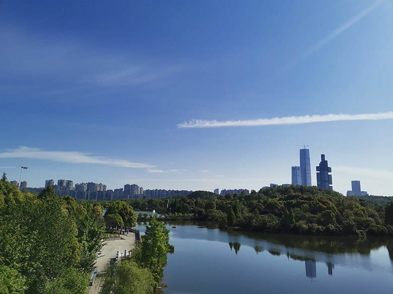 1681717767992726.png image.png