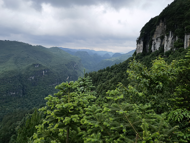 1681717786364829.png image.png