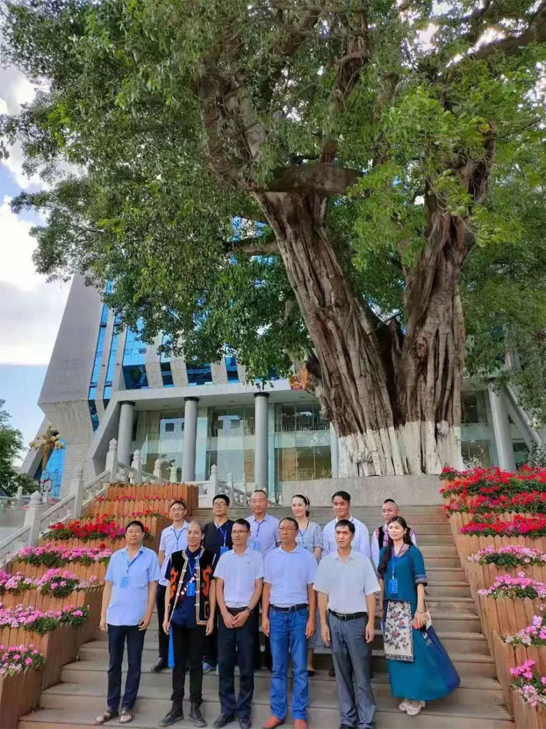 1682740524633913.jpg yunxians7.jpg