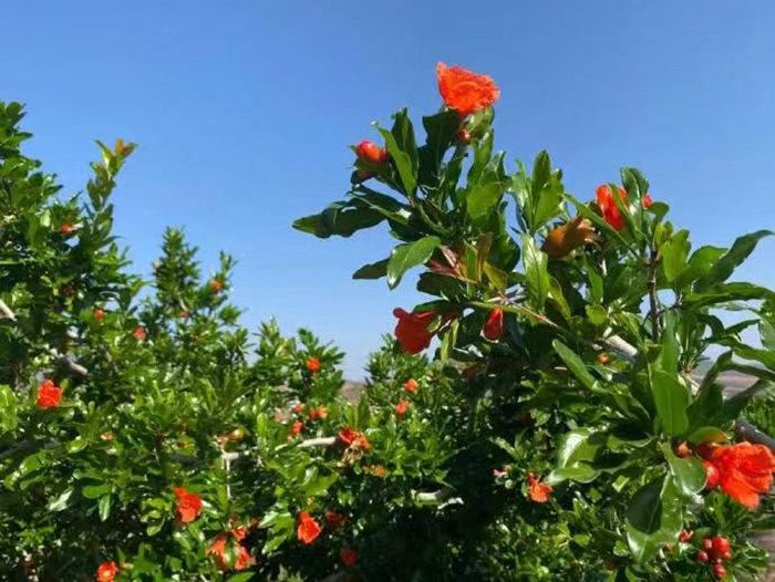 1683595634912795.png image.png