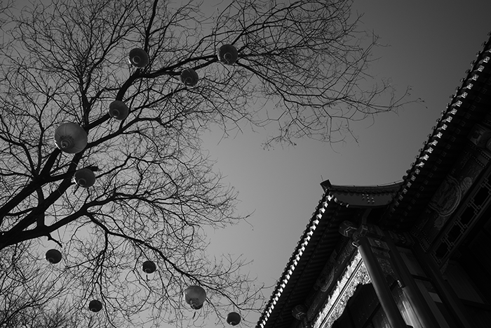 1683810447524608.png image.png