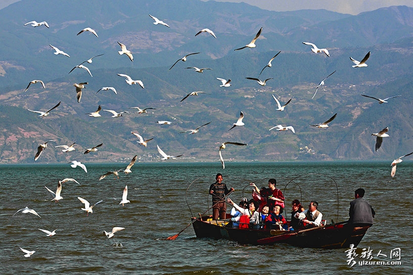 1684680382355942.jpg 33.jpg