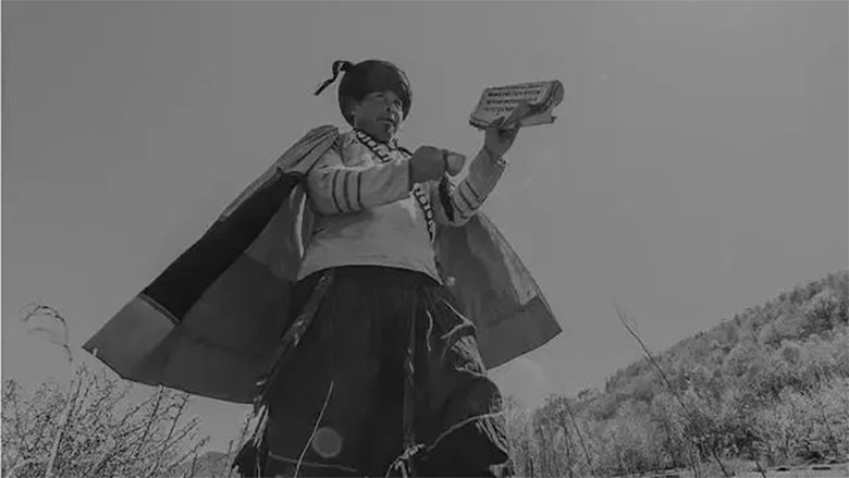 1685586101350487.jpg bimod17.jpg