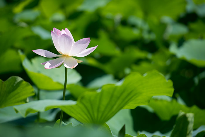 1686665870989534.jpg asdfess060.jpg