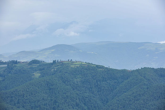 1686964721624755.jpg DSC_4402.jpg