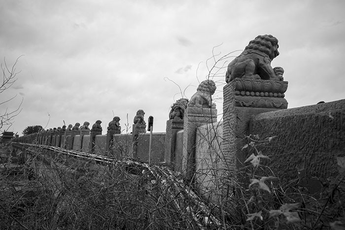 1689248569538175.jpg R0002071.jpg