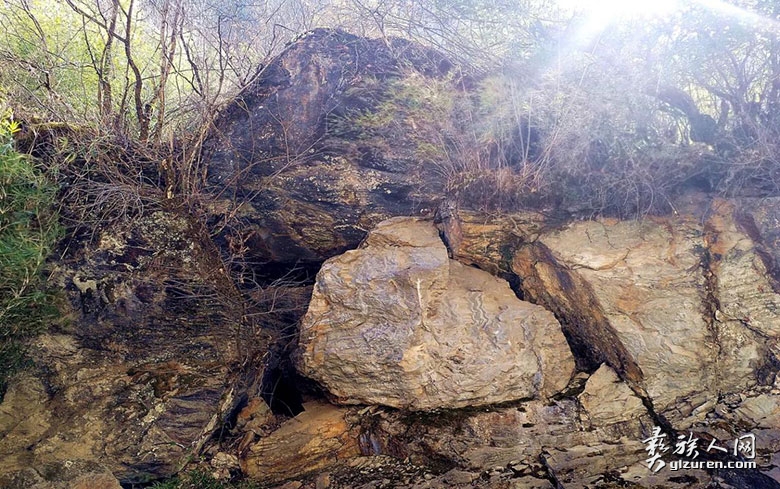 1689946537886944.jpg image003.jpg