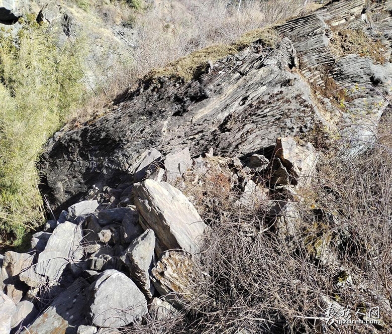 1689946559940415.jpg image005.jpg