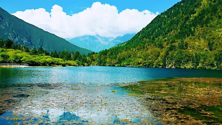 1694087082691036.jpg cuocu2.jpg