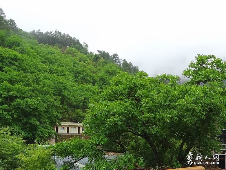 1694775205404201.jpg pingguo1.jpg