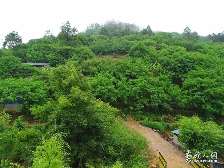 1694775215187477.jpg pingguo2.jpg