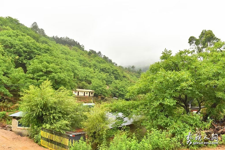 1694775227762600.jpg pingguo3.jpg