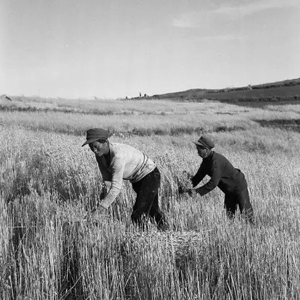 1695521873206110.jpg sgcs02.jpg