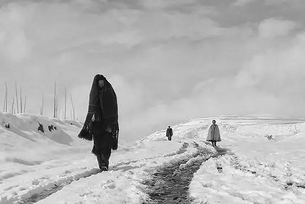 1695521894391092.jpg sgcs05.jpg