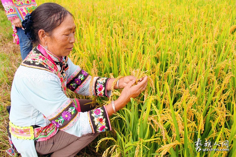 1695817522934970.jpg chxjimage003.jpg