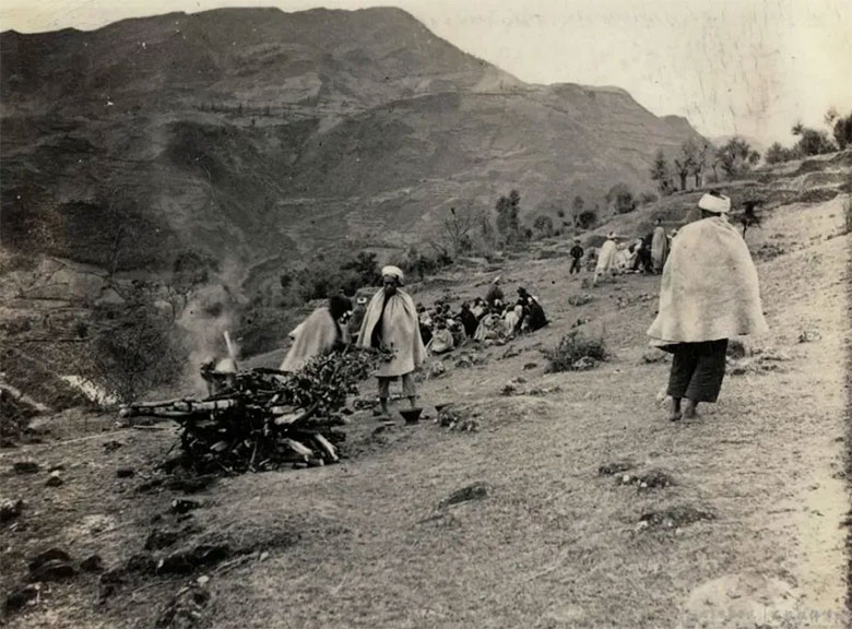 1698063229654016.jpg zanli-2.jpg