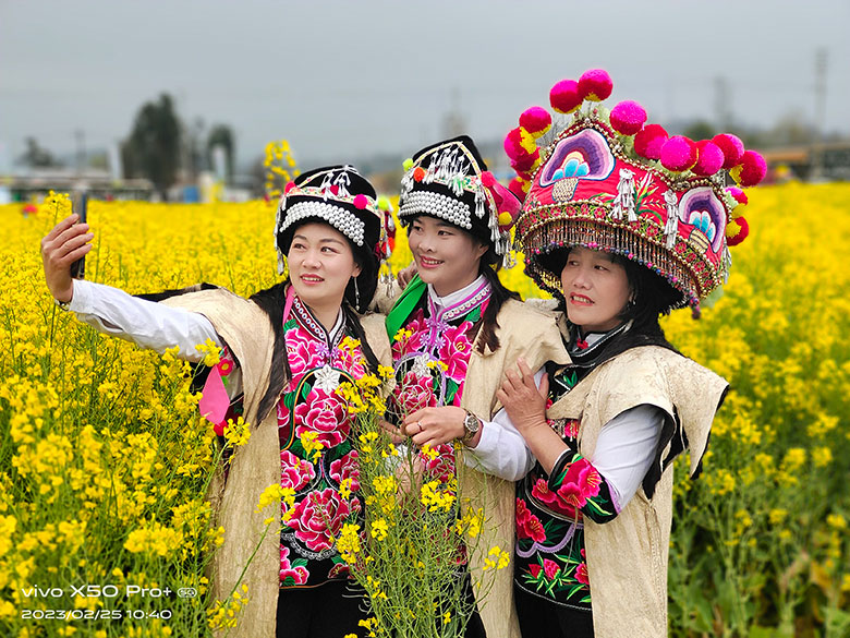 1700630111917802.jpg youcaihua13.jpg