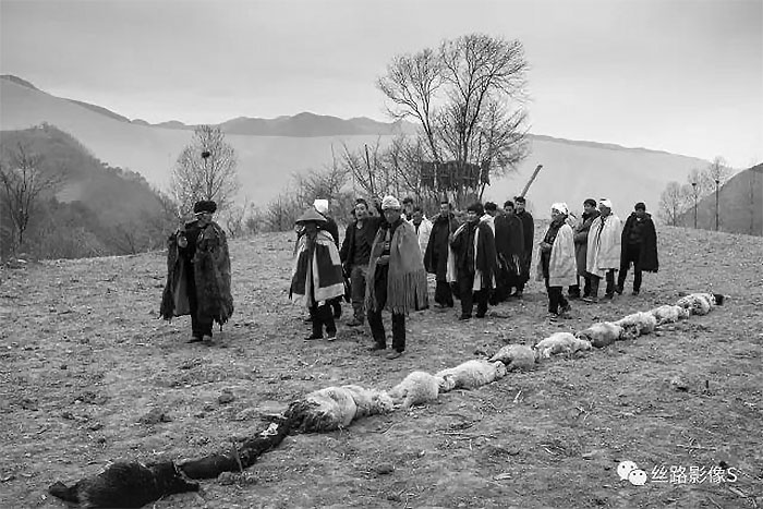 1704715778491007.jpg 540b9f093115bed885bba2852dacf4c5_1691763091640785.jpg