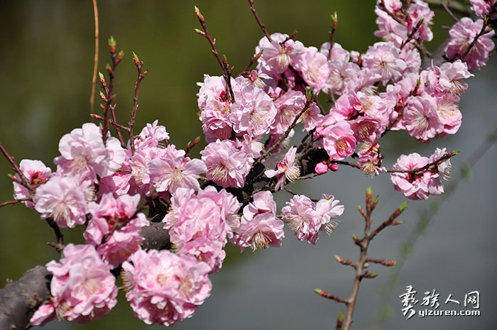 1708747518483707.jpg 009.jpg