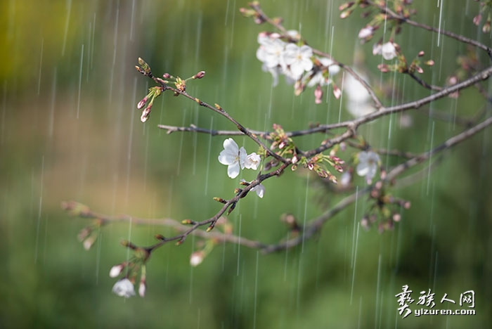 1710159707998587.jpg DSC_5419.jpg