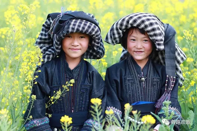 1711546860716795.jpg limiren13.jpg