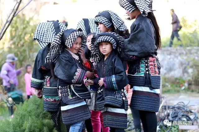 1711546880378544.jpg limiren17.jpg