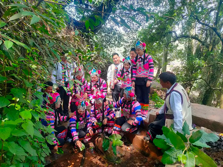 1711627369113026.jpg wdjgimage025.jpg