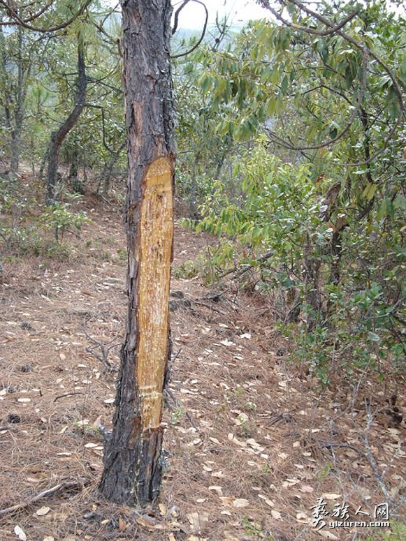 1712578395564232.jpg base_download_att.jpg