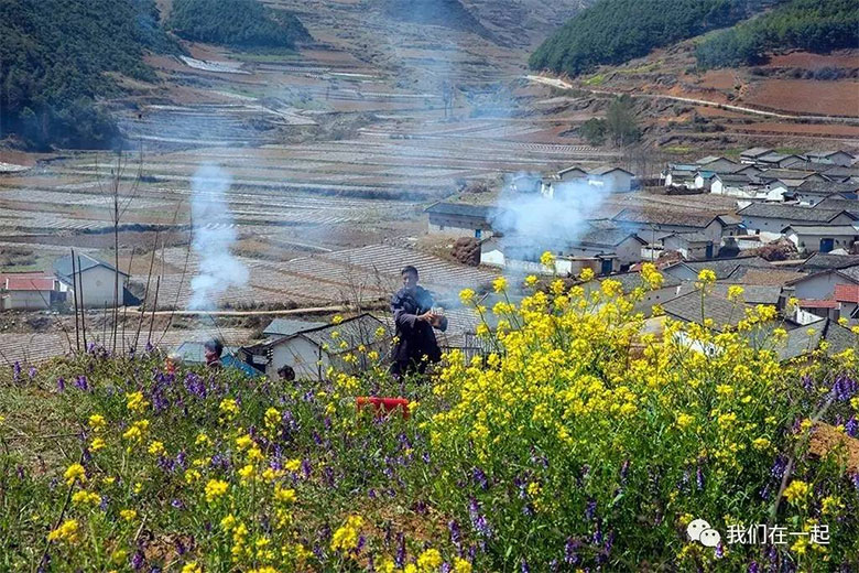 1713069784354449.jpg zangli01.jpg