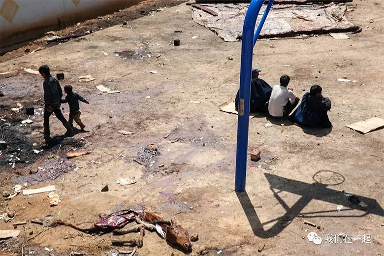 1713069988475159.jpg zanli06.jpg