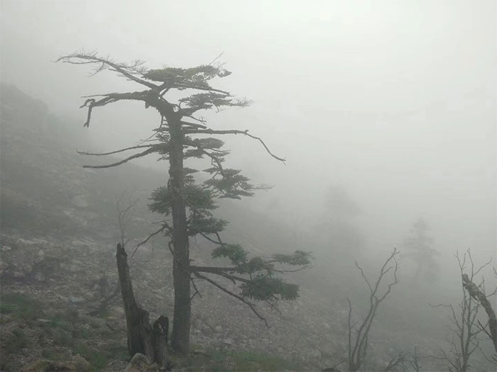 1717290058485521.jpg aeddd-1.jpg