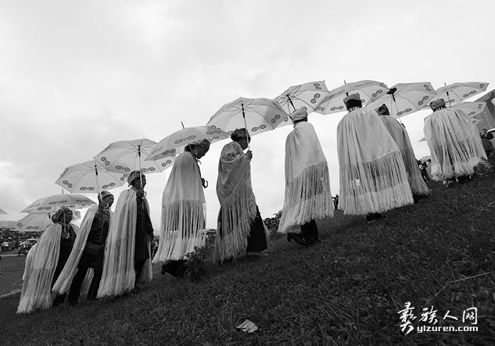 1718014666749128.jpg DSC_5293.jpg