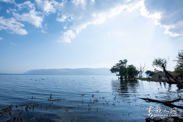 1719835652887817.jpg DSC_6984.jpg